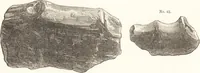An illustration from Ilios; the city and country of the Trojans. The results of researches and discoveries on the site of Troy and throughout the Troad in the years 1871-72-73-78-79, including an autobiography of the author (1880)