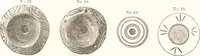 An illustration from Ilios; the city and country of the Trojans. The results of researches and discoveries on the site of Troy and throughout the Troad in the years 1871-72-73-78-79, including an autobiography of the author (1880)