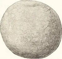An illustration from Ilios; the city and country of the Trojans. The results of researches and discoveries on the site of Troy and throughout the Troad in the years 1871-72-73-78-79, including an autobiography of the author (1880)