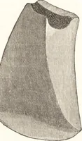 An illustration from Ilios; the city and country of the Trojans. The results of researches and discoveries on the site of Troy and throughout the Troad in the years 1871-72-73-78-79, including an autobiography of the author (1880)