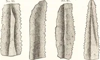 An illustration from Ilios; the city and country of the Trojans. The results of researches and discoveries on the site of Troy and throughout the Troad in the years 1871-72-73-78-79, including an autobiography of the author (1880)