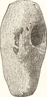 An illustration from Ilios; the city and country of the Trojans. The results of researches and discoveries on the site of Troy and throughout the Troad in the years 1871-72-73-78-79, including an autobiography of the author (1880)