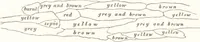 Picture 98 of 774 from Ilios; the city and country of the Trojans. The results of researches and discoveries on the site of Troy and throughout the Troad in the years 1871-72-73-78-79, including an autobiography of the author (1880), leaf 332