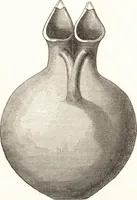 An illustration from Ilios; the city and country of the Trojans. The results of researches and discoveries on the site of Troy and throughout the Troad in the years 1871-72-73-78-79, including an autobiography of the author (1880)