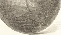 An illustration from Ilios; the city and country of the Trojans. The results of researches and discoveries on the site of Troy and throughout the Troad in the years 1871-72-73-78-79, including an autobiography of the author (1880)