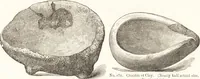 An illustration from Ilios; the city and country of the Trojans. The results of researches and discoveries on the site of Troy and throughout the Troad in the years 1871-72-73-78-79, including an autobiography of the author (1880)