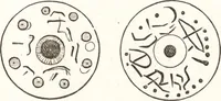 An illustration from Ilios; the city and country of the Trojans. The results of researches and discoveries on the site of Troy and throughout the Troad in the years 1871-72-73-78-79, including an autobiography of the author (1880)