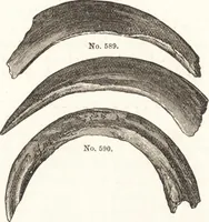 An illustration from Ilios; the city and country of the Trojans. The results of researches and discoveries on the site of Troy and throughout the Troad in the years 1871-72-73-78-79, including an autobiography of the author (1880)