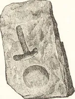 An illustration from Ilios; the city and country of the Trojans. The results of researches and discoveries on the site of Troy and throughout the Troad in the years 1871-72-73-78-79, including an autobiography of the author (1880)