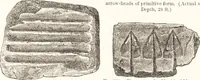 Picture 322 of 774 from Ilios; the city and country of the Trojans. The results of researches and discoveries on the site of Troy and throughout the Troad in the years 1871-72-73-78-79, including an autobiography of the author (1880), leaf 460