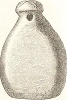 An illustration from Ilios; the city and country of the Trojans. The results of researches and discoveries on the site of Troy and throughout the Troad in the years 1871-72-73-78-79, including an autobiography of the author (1880)