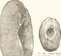 An illustration from Ilios; the city and country of the Trojans. The results of researches and discoveries on the site of Troy and throughout the Troad in the years 1871-72-73-78-79, including an autobiography of the author (1880)