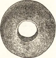 An illustration from Ilios; the city and country of the Trojans. The results of researches and discoveries on the site of Troy and throughout the Troad in the years 1871-72-73-78-79, including an autobiography of the author (1880)