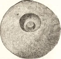 An illustration from Ilios; the city and country of the Trojans. The results of researches and discoveries on the site of Troy and throughout the Troad in the years 1871-72-73-78-79, including an autobiography of the author (1880)