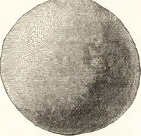 An illustration from Ilios; the city and country of the Trojans. The results of researches and discoveries on the site of Troy and throughout the Troad in the years 1871-72-73-78-79, including an autobiography of the author (1880)