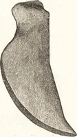 An illustration from Ilios; the city and country of the Trojans. The results of researches and discoveries on the site of Troy and throughout the Troad in the years 1871-72-73-78-79, including an autobiography of the author (1880)