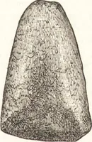 Picture 355 of 774 from Ilios; the city and country of the Trojans. The results of researches and discoveries on the site of Troy and throughout the Troad in the years 1871-72-73-78-79, including an autobiography of the author (1880), leaf 470