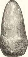 Picture 360 of 774 from Ilios; the city and country of the Trojans. The results of researches and discoveries on the site of Troy and throughout the Troad in the years 1871-72-73-78-79, including an autobiography of the author (1880), leaf 477