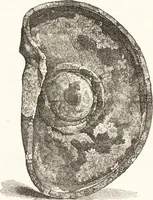An illustration from Ilios; the city and country of the Trojans. The results of researches and discoveries on the site of Troy and throughout the Troad in the years 1871-72-73-78-79, including an autobiography of the author (1880)