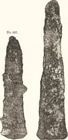 Picture 390 of 774 from Ilios; the city and country of the Trojans. The results of researches and discoveries on the site of Troy and throughout the Troad in the years 1871-72-73-78-79, including an autobiography of the author (1880), leaf 501