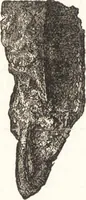 An illustration from Ilios; the city and country of the Trojans. The results of researches and discoveries on the site of Troy and throughout the Troad in the years 1871-72-73-78-79, including an autobiography of the author (1880)