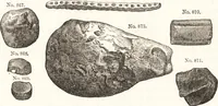 An illustration from Ilios; the city and country of the Trojans. The results of researches and discoveries on the site of Troy and throughout the Troad in the years 1871-72-73-78-79, including an autobiography of the author (1880)