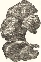 An illustration from Ilios; the city and country of the Trojans. The results of researches and discoveries on the site of Troy and throughout the Troad in the years 1871-72-73-78-79, including an autobiography of the author (1880)