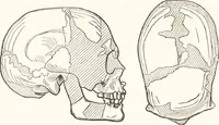 An illustration from Ilios; the city and country of the Trojans. The results of researches and discoveries on the site of Troy and throughout the Troad in the years 1871-72-73-78-79, including an autobiography of the author (1880)