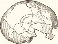 An illustration from Ilios; the city and country of the Trojans. The results of researches and discoveries on the site of Troy and throughout the Troad in the years 1871-72-73-78-79, including an autobiography of the author (1880)