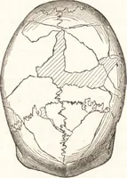 An illustration from Ilios; the city and country of the Trojans. The results of researches and discoveries on the site of Troy and throughout the Troad in the years 1871-72-73-78-79, including an autobiography of the author (1880)