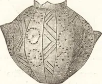 An illustration from Ilios; the city and country of the Trojans. The results of researches and discoveries on the site of Troy and throughout the Troad in the years 1871-72-73-78-79, including an autobiography of the author (1880)