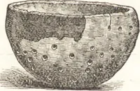 An illustration from Ilios; the city and country of the Trojans. The results of researches and discoveries on the site of Troy and throughout the Troad in the years 1871-72-73-78-79, including an autobiography of the author (1880)