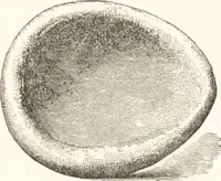An illustration from Ilios; the city and country of the Trojans. The results of researches and discoveries on the site of Troy and throughout the Troad in the years 1871-72-73-78-79, including an autobiography of the author (1880)