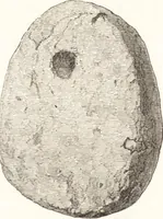 An illustration from Ilios; the city and country of the Trojans. The results of researches and discoveries on the site of Troy and throughout the Troad in the years 1871-72-73-78-79, including an autobiography of the author (1880)