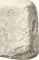An illustration from Ilios; the city and country of the Trojans. The results of researches and discoveries on the site of Troy and throughout the Troad in the years 1871-72-73-78-79, including an autobiography of the author (1880)
