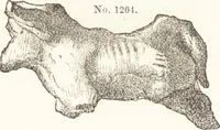 Picture 550 of 774 from Ilios; the city and country of the Trojans. The results of researches and discoveries on the site of Troy and throughout the Troad in the years 1871-72-73-78-79, including an autobiography of the author (1880), leaf 585