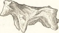 An illustration from Ilios; the city and country of the Trojans. The results of researches and discoveries on the site of Troy and throughout the Troad in the years 1871-72-73-78-79, including an autobiography of the author (1880)