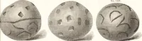 An illustration from Ilios; the city and country of the Trojans. The results of researches and discoveries on the site of Troy and throughout the Troad in the years 1871-72-73-78-79, including an autobiography of the author (1880)