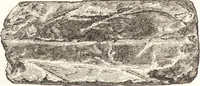 An illustration from Ilios; the city and country of the Trojans. The results of researches and discoveries on the site of Troy and throughout the Troad in the years 1871-72-73-78-79, including an autobiography of the author (1880)