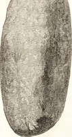 An illustration from Ilios; the city and country of the Trojans. The results of researches and discoveries on the site of Troy and throughout the Troad in the years 1871-72-73-78-79, including an autobiography of the author (1880)