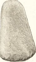 An illustration from Ilios; the city and country of the Trojans. The results of researches and discoveries on the site of Troy and throughout the Troad in the years 1871-72-73-78-79, including an autobiography of the author (1880)