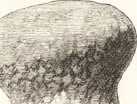 An illustration from Ilios; the city and country of the Trojans. The results of researches and discoveries on the site of Troy and throughout the Troad in the years 1871-72-73-78-79, including an autobiography of the author (1880)