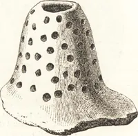 An illustration from Ilios; the city and country of the Trojans. The results of researches and discoveries on the site of Troy and throughout the Troad in the years 1871-72-73-78-79, including an autobiography of the author (1880)
