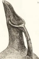 An illustration from Ilios; the city and country of the Trojans. The results of researches and discoveries on the site of Troy and throughout the Troad in the years 1871-72-73-78-79, including an autobiography of the author (1880)