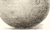An illustration from Ilios; the city and country of the Trojans. The results of researches and discoveries on the site of Troy and throughout the Troad in the years 1871-72-73-78-79, including an autobiography of the author (1880)