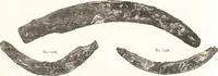 An illustration from Ilios; the city and country of the Trojans. The results of researches and discoveries on the site of Troy and throughout the Troad in the years 1871-72-73-78-79, including an autobiography of the author (1880)