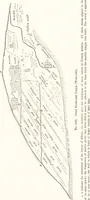 An illustration from Ilios; the city and country of the Trojans. The results of researches and discoveries on the site of Troy and throughout the Troad in the years 1871-72-73-78-79, including an autobiography of the author (1880)