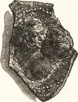 An illustration from Ilios; the city and country of the Trojans. The results of researches and discoveries on the site of Troy and throughout the Troad in the years 1871-72-73-78-79, including an autobiography of the author (1880)