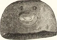 An illustration from Ilios; the city and country of the Trojans. The results of researches and discoveries on the site of Troy and throughout the Troad in the years 1871-72-73-78-79, including an autobiography of the author (1880)