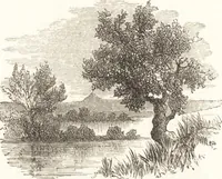 An illustration from Ilios; the city and country of the Trojans. The results of researches and discoveries on the site of Troy and throughout the Troad in the years 1871-72-73-78-79, including an autobiography of the author (1880)